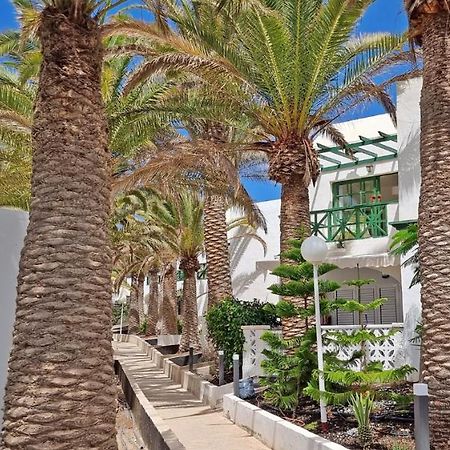 Ferienwohnung Palm Garden - Costa Calma - Pool - Glasfaserinternet מראה חיצוני תמונה