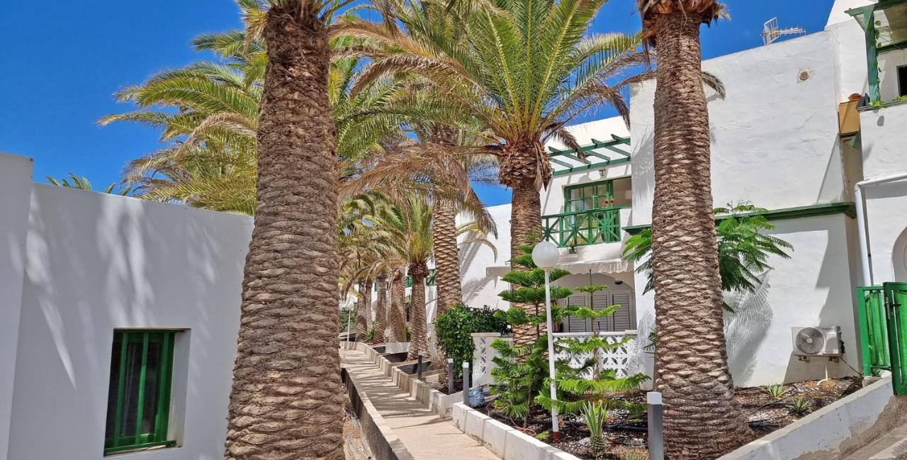 Ferienwohnung Palm Garden - Costa Calma - Pool - Glasfaserinternet מראה חיצוני תמונה