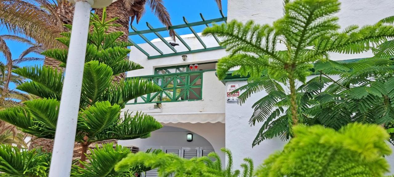 Ferienwohnung Palm Garden - Costa Calma - Pool - Glasfaserinternet מראה חיצוני תמונה
